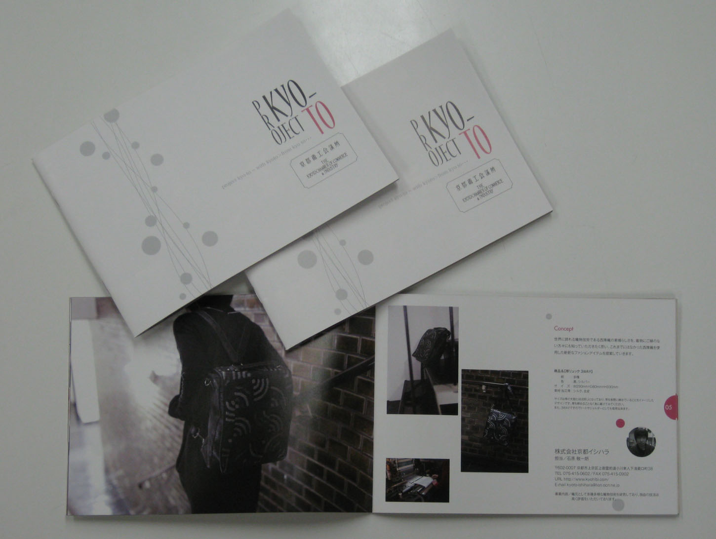 http://www.iandeye.co.jp/blog/proj_kyo.JPG